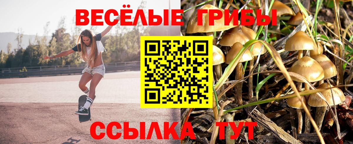 Псилоцибиновые грибы GOLDEN TEACHER  Вход с VPN  Пушкино 